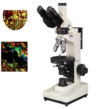 Microscópio De Luz Polarizada