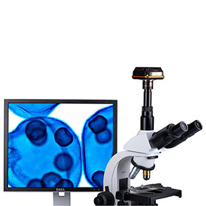 Microscópio Digital Microscópio Digital