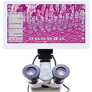 Microscópio com Câmera