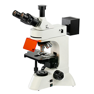 Microscópio Fluorescência